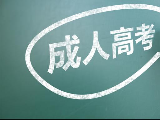 阜阳成人高考 必须验证身份